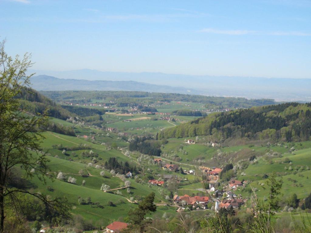 Wellnesshotel Ludinmuehle Freiamt Esterno foto